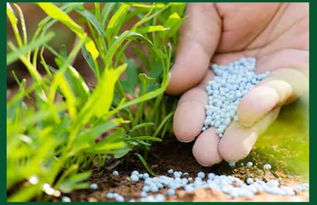 Picture for category Chemical Fertilizers