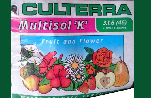 Picture of MULTISOL K 3.1.6 (46) FRUIT AND FLOWER 5 Kg