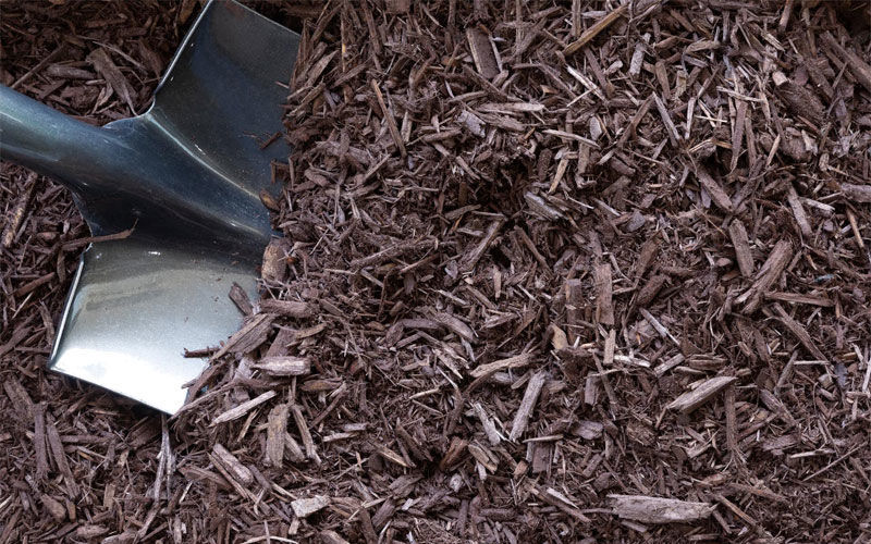 Picture of Bulk Bark Mulch